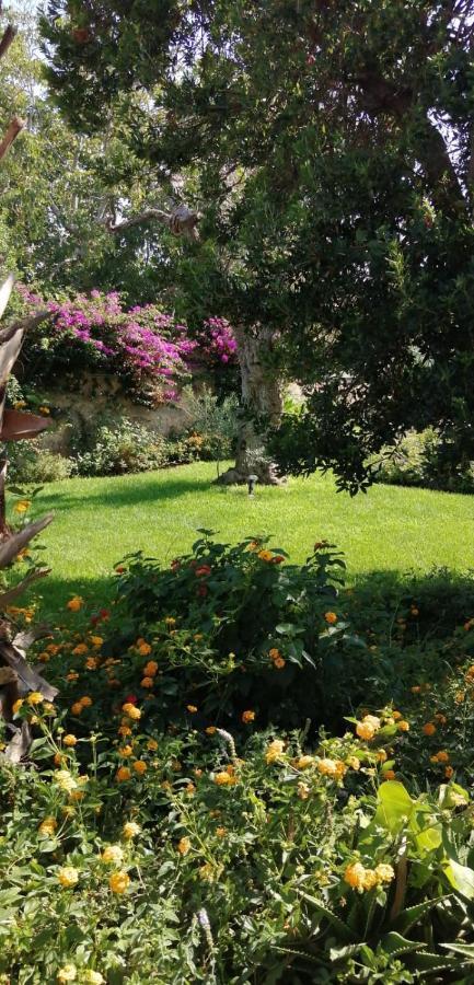Residence Il Giunco Presicce Kültér fotó